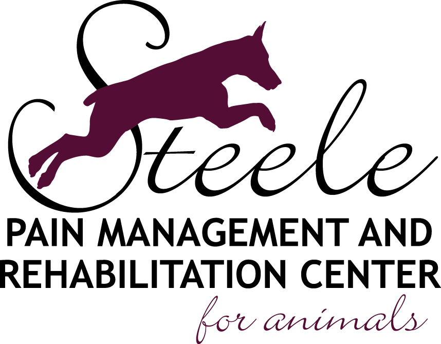 Steele Pain Management & Rehabilitation Center